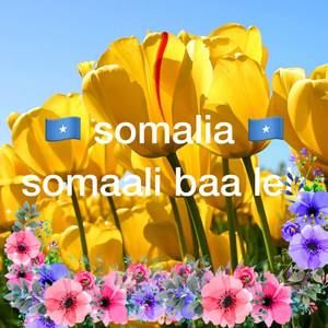 Meet your Posher, Amina